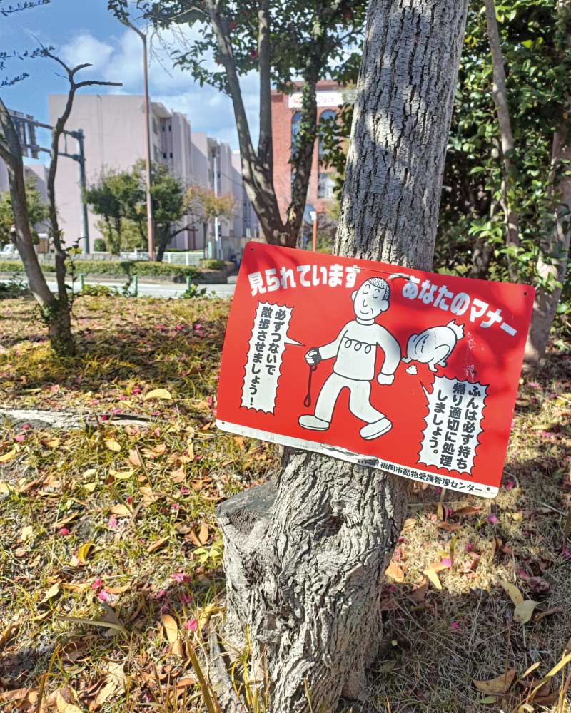 Japanese mascot-style illustration photographed during my travels in Tokyo, Japan.