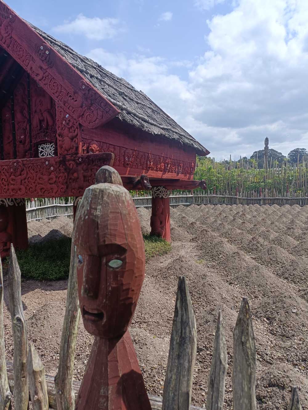 Photograph of traditional Māori agricultural structure viewed at the Hamilton Botanic Gardens, showcasing indigenous design elements.
